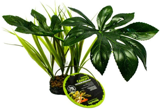 Komodo Jungle Canopy Terrarium Plant