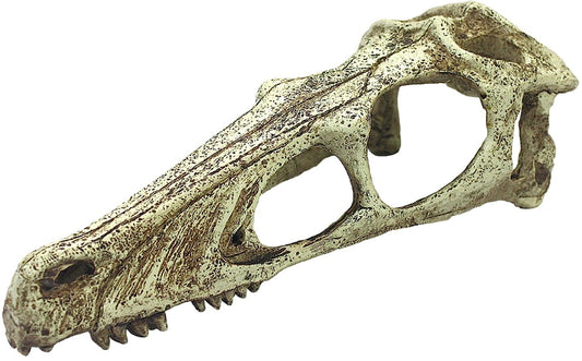 Komodo Raptor Skull Terrarium Decoration