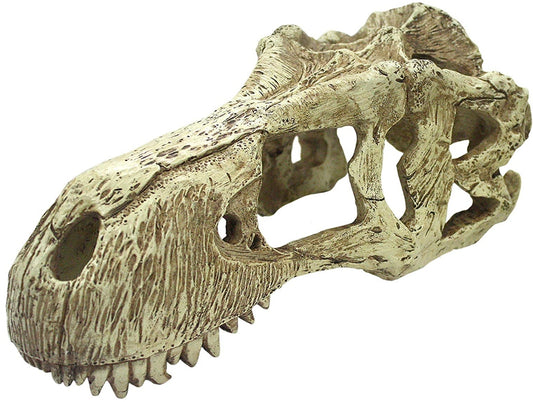 Komodo T-Rex Skull Terrarium Decoration