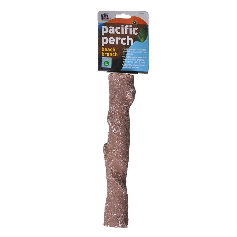 Prevue Pacific Perch Beach Branch