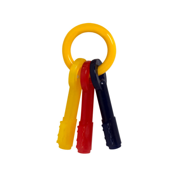 Nylabone Just for Puppies Teething Chew Toy Keys Chew Toy Keys Bacon 1ea/Medium/Wolf - Up To 35 lb