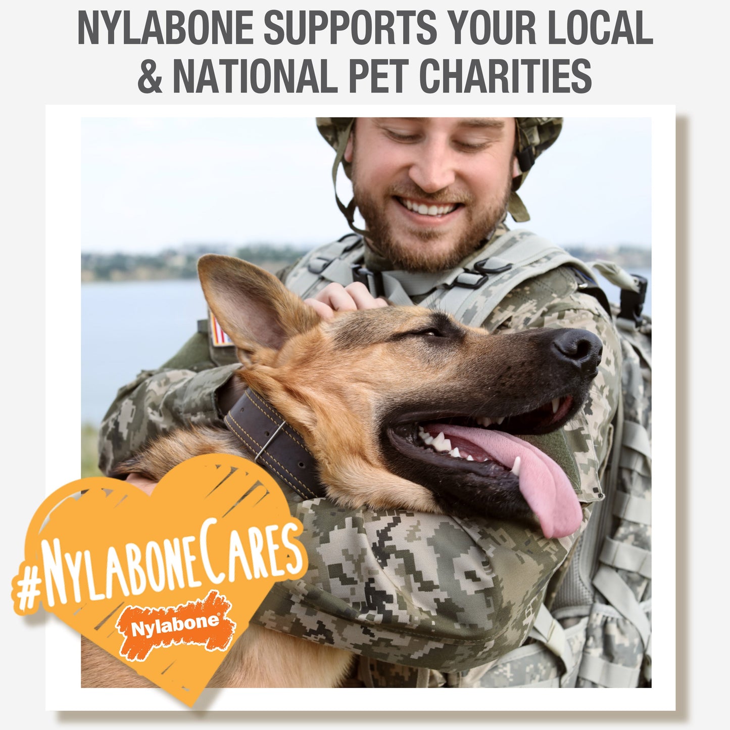 Nylabone Healthy Edibles AllNatural Long Lasting Roast Beef Dog Chew Treats Roast Beef, XS/Petite  Up To 15 Lbs. 2 ct