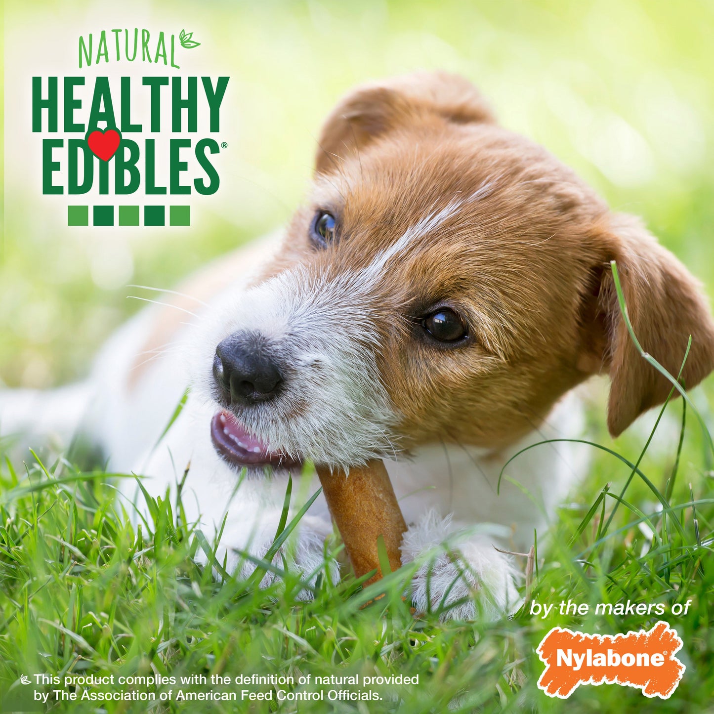 Nylabone Healthy Edibles AllNatural Long Lasting Roast Beef Dog Chew Treats Roast Beef, SMall/Regular  Up To 25 Ibs. 1 ct