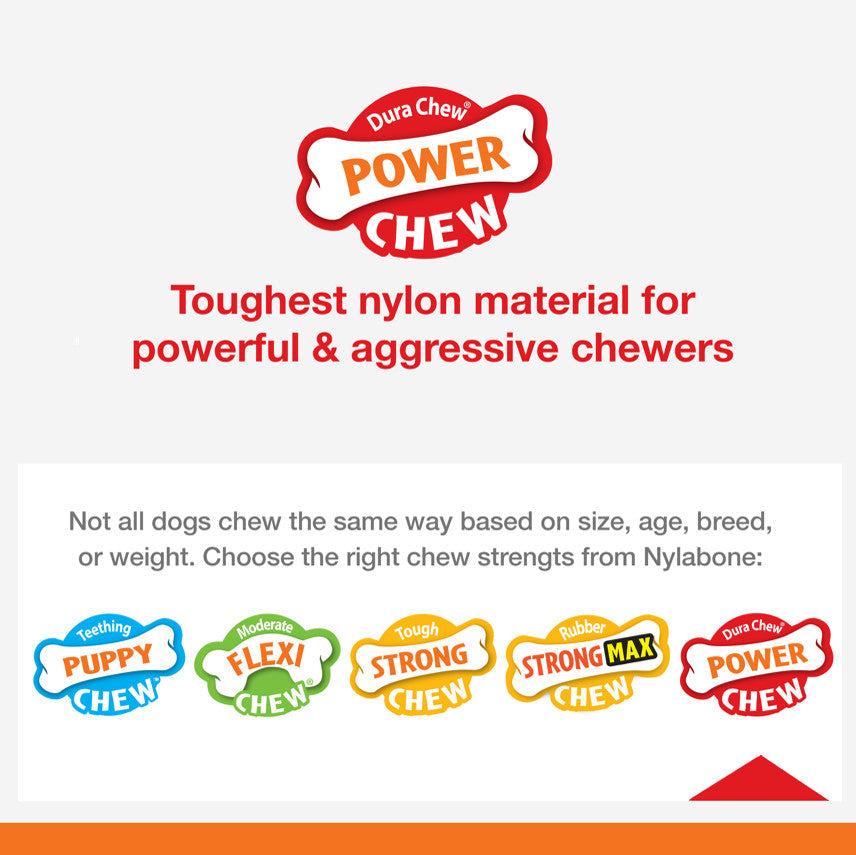 Nylabone Power Chew Textured Dog Bone Chew Toy Flavor Medley 1ea/SMall/Regular - Up To 25 Ibs.