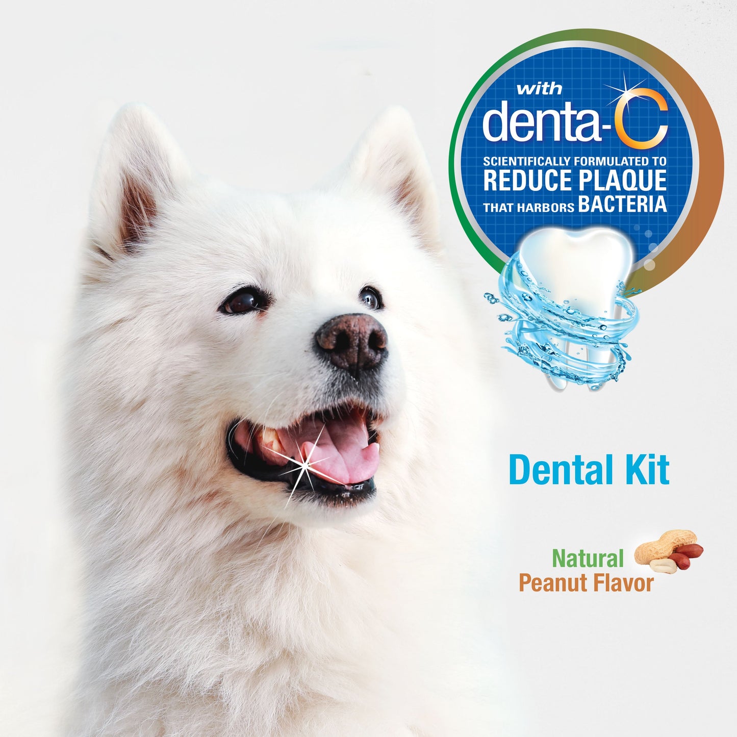 Nylabone Advanced Oral Care Natural Dog Dental Kit Peanut Butter 1ea