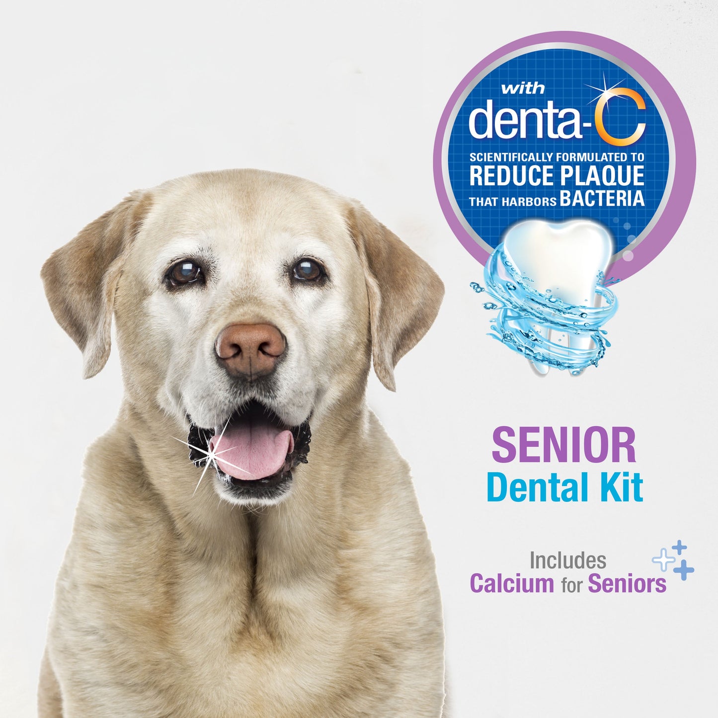 Nylabone Advanced Oral Care Senior Dog Dental Kit Bacon 1ea