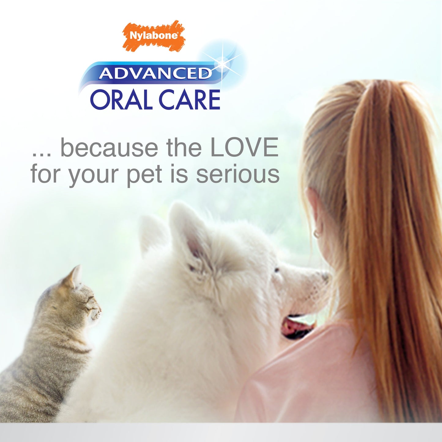 Nylabone Advanced Oral Care Cat Dental Kit 1ea/2.5 oz