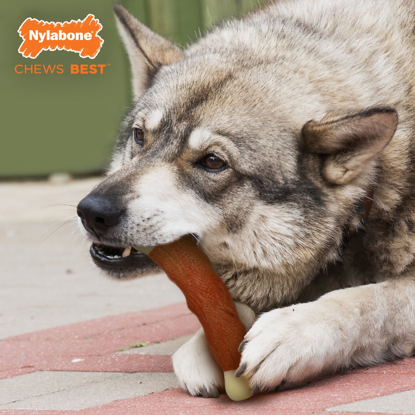 Nylabone Power Chew Marrow Bone Alternative Dog Chew Toy Beef 1ea/Large/Giant - Up To 50 lb