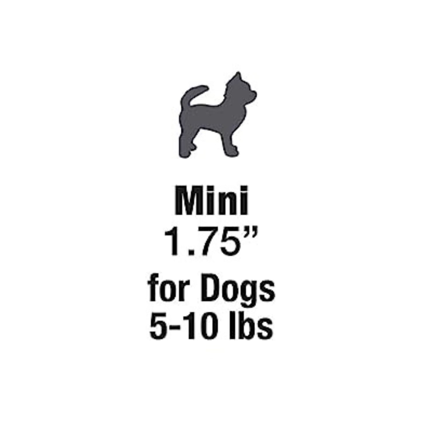 Nylabone Nutri Dent Filet Mignon Dog Dental Chews Filet Mignon 1ea/Mini - 5 Lbs. To 10 lb