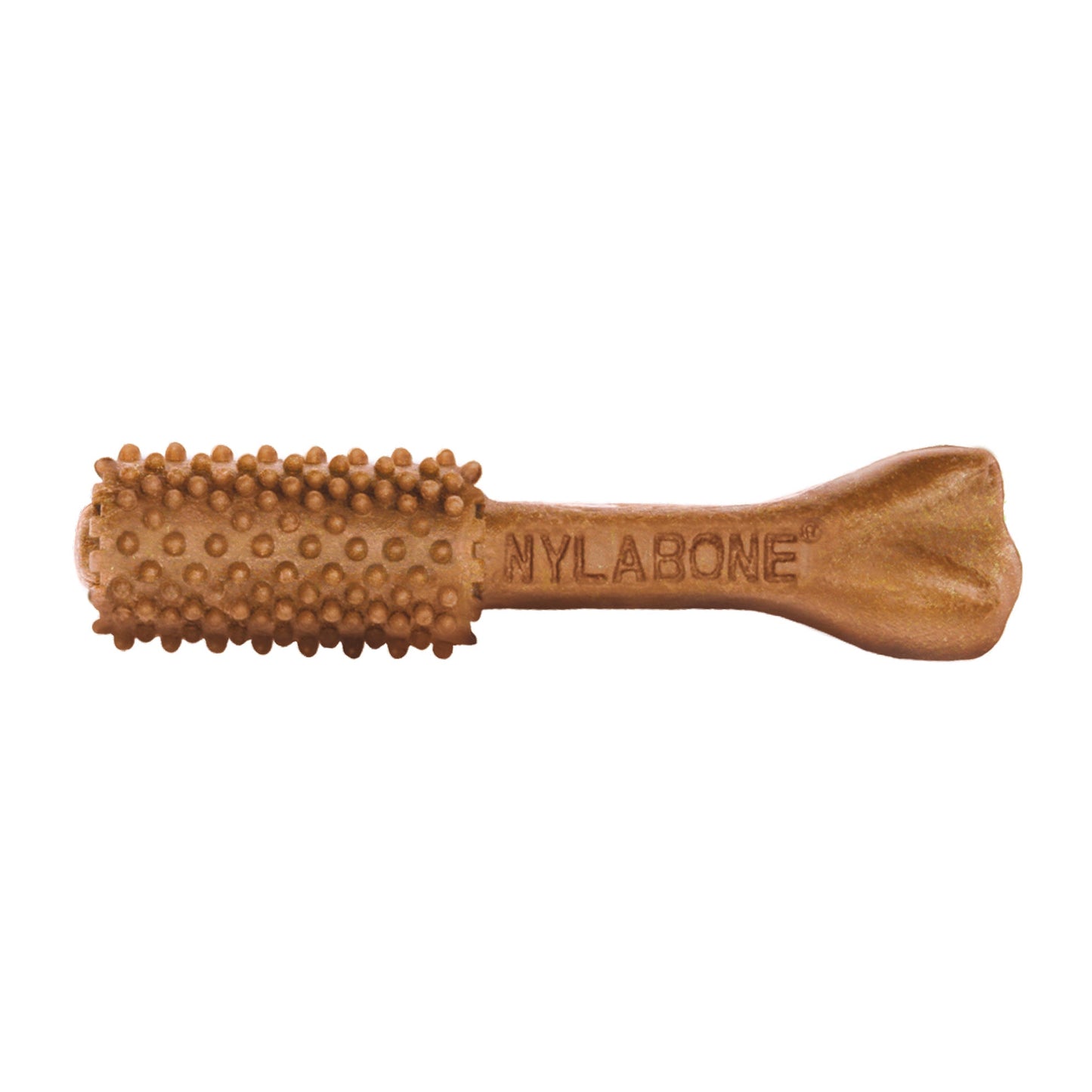 Nylabone Nutri Dent Filet Mignon Dog Dental Chews Filet Mignon Medium - 15 Lbs. To 30 lb  (20 ct)