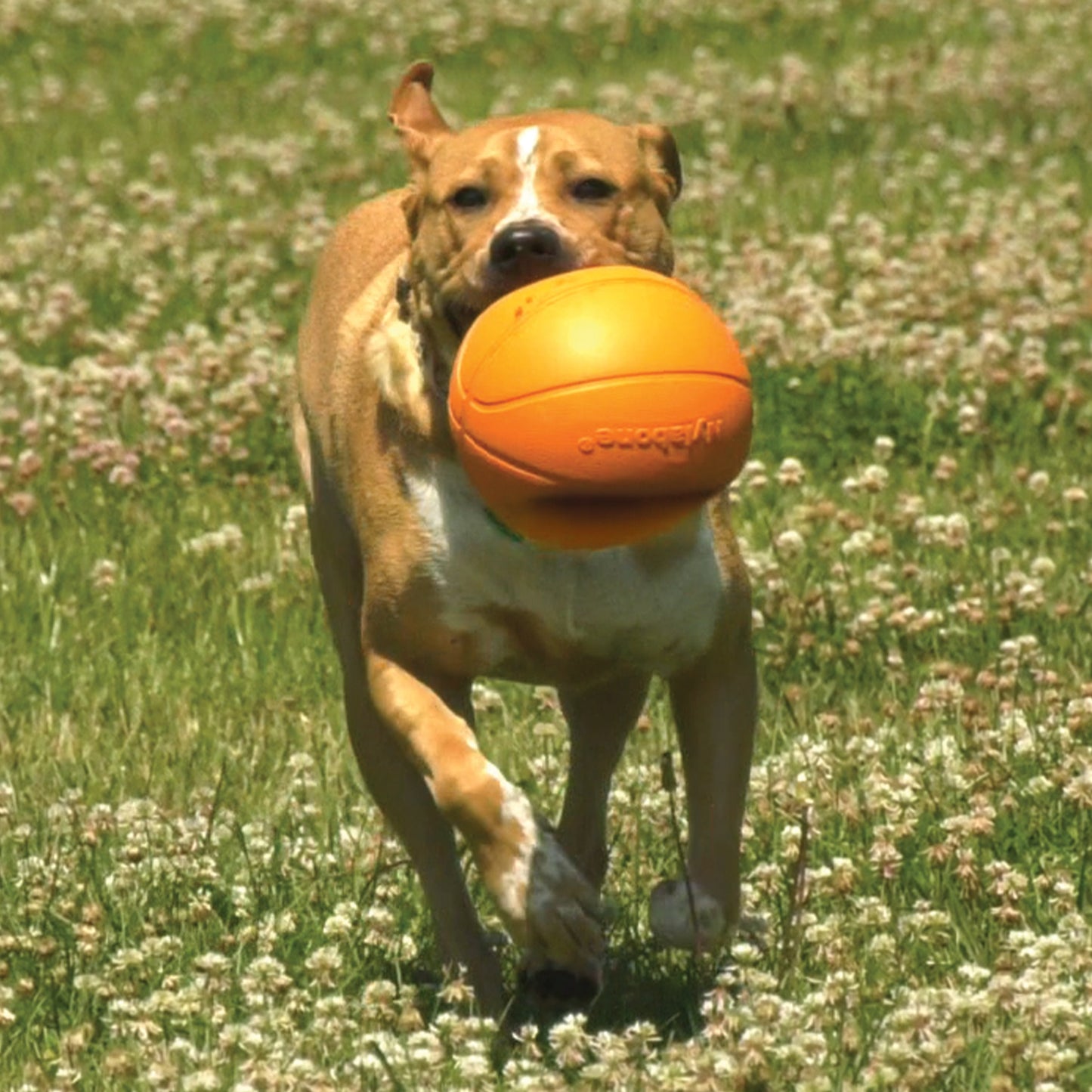 Nylabone Power Play Dog Basketball B-Ball Gripz 1ea/Large/Giant - Up To 50 lb