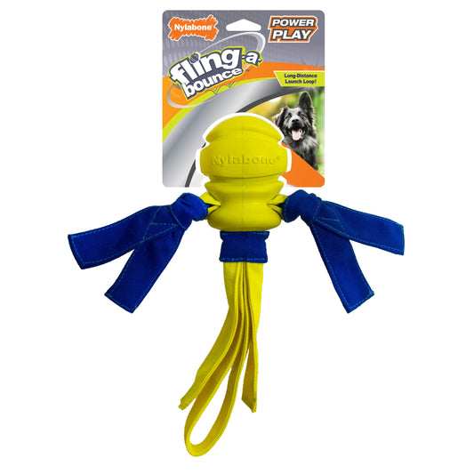 Nylabone Power Play Fling-a-Bounce Interactive Dog Toy 1ea/Large/Giant - Up To 50 lb