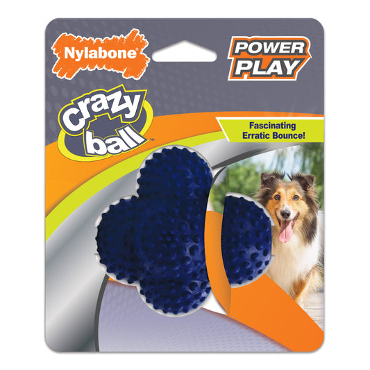 Nylabone Power Play Ball for Dogs Crazy Ball 1ea/Large/Giant - Up To 50 lb