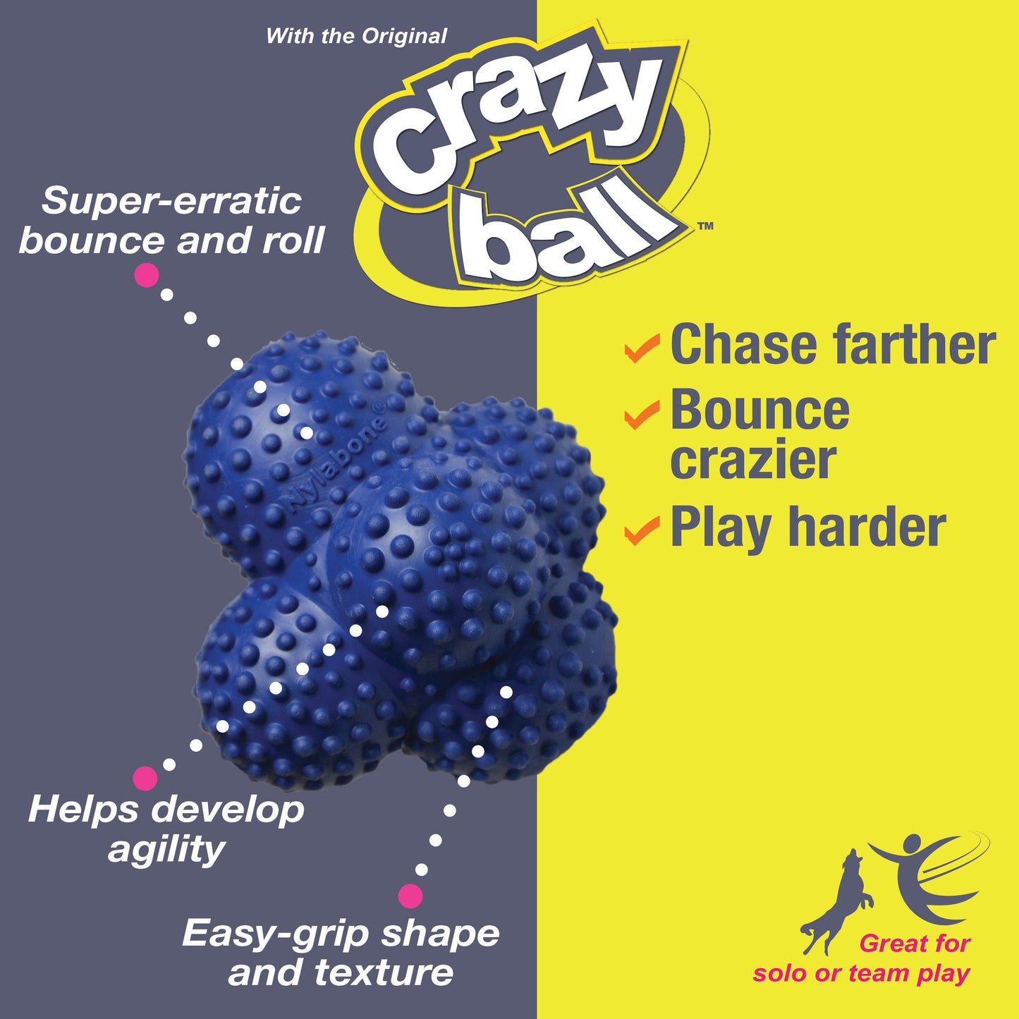 Nylabone Power Play Ball for Dogs Crazy Ball 1ea/Large/Giant - Up To 50 lb