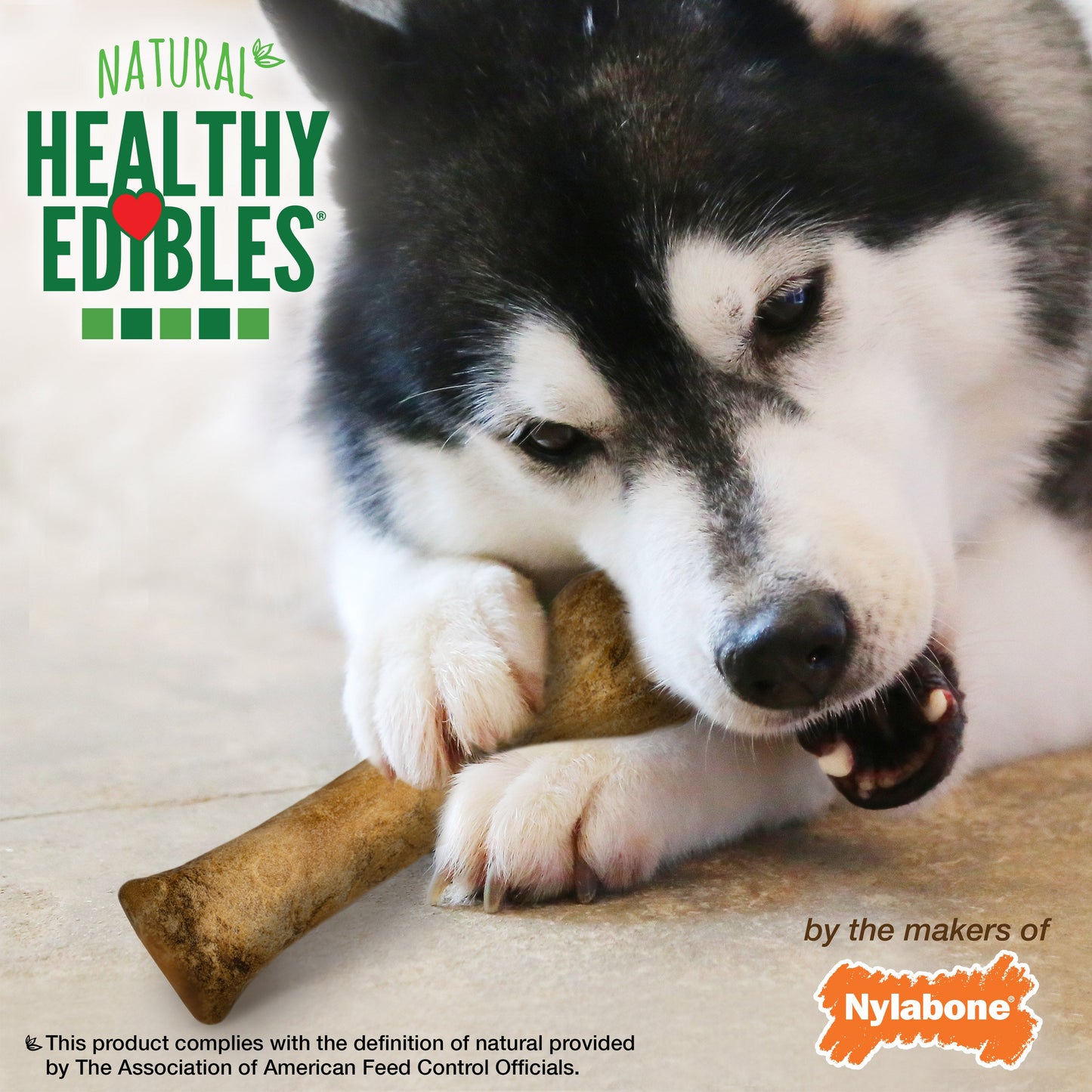 Nylabone Healthy Edibles AllNatural Long Lasting Roast Beef Dog Chew Treats Roast Beef, XL/Souper  50 Lbs. 2 ct