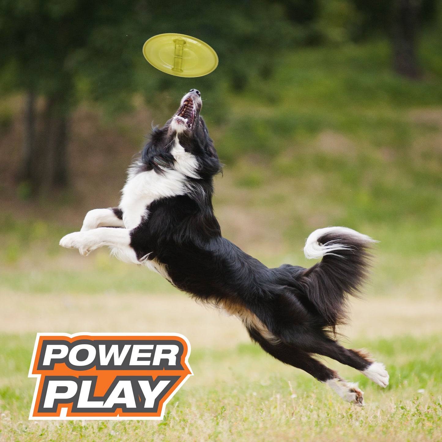 Nylabone Power Play Ultra Glider Gripz Dog Flying Disc 1ea/Large/Giant - Up To 50 lb