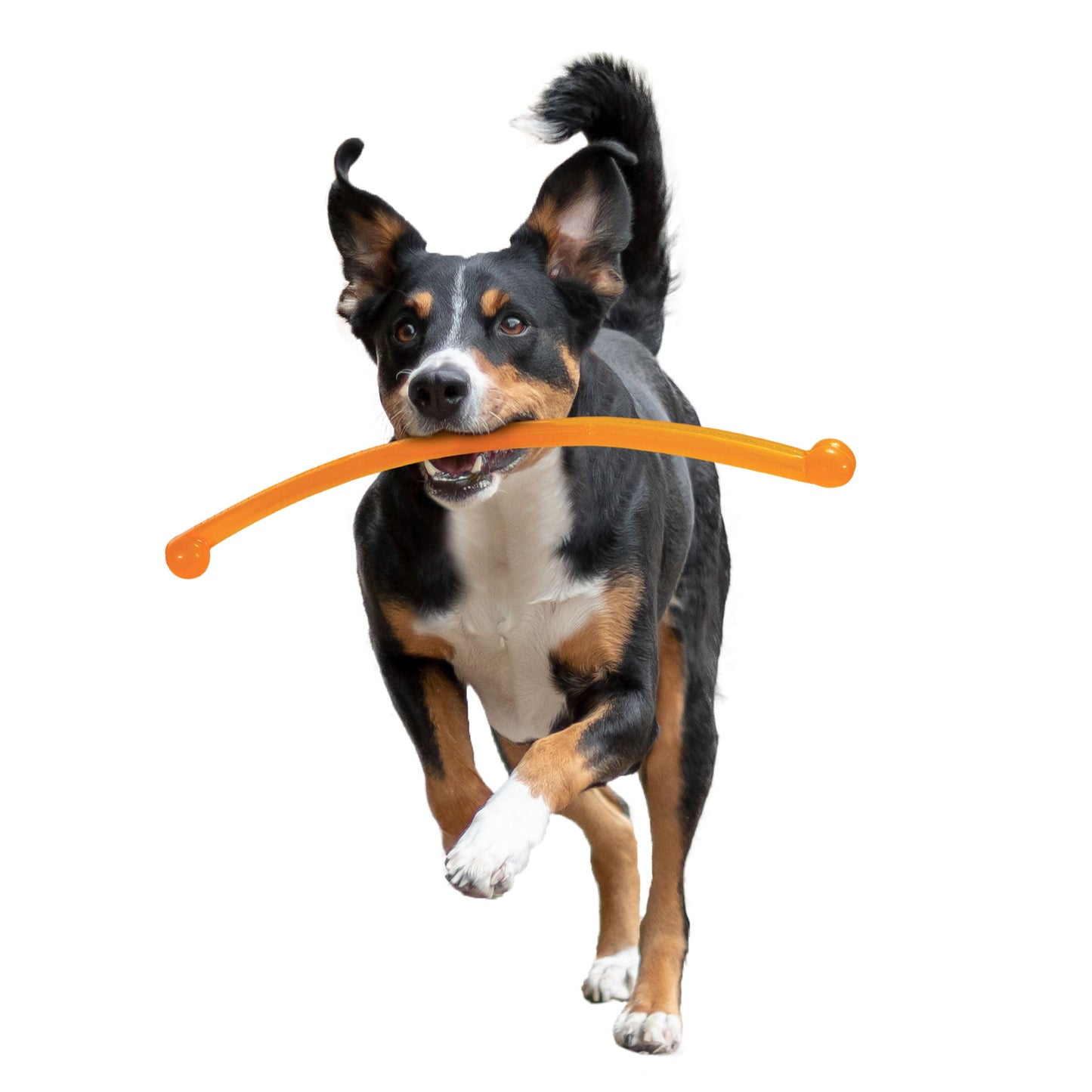 Nylabone Power Play Crazy Stick Dog Toy 1ea