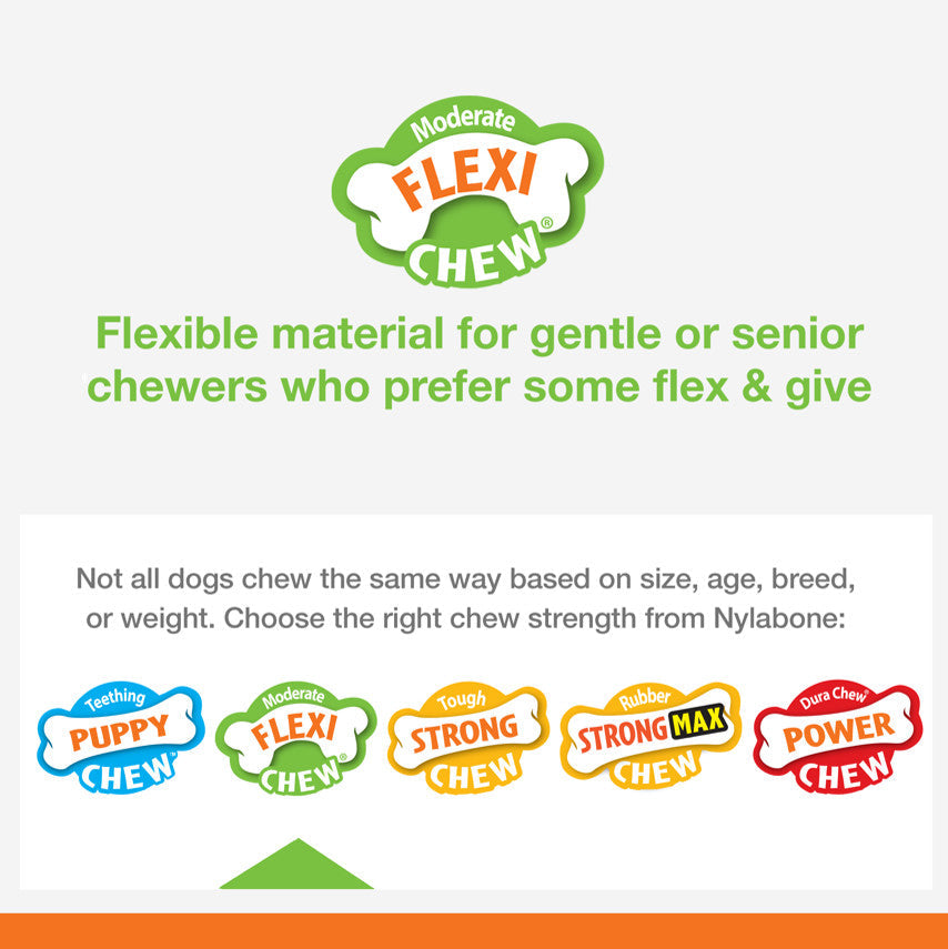 Nylabone Silver Collection Flexi Chew X-Bone Chew Toy for Senior Dogs Turkey & Sweet Potato 1ea/SMall/Regular - Up To 25 Ibs.