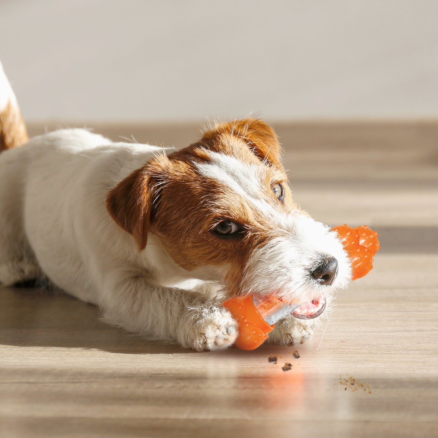 Nylabone Sneaky Snacker Dog Treat Toy Bacon Sneaky Snacker 1ea/Medium/Wolf - Up To 35 lb