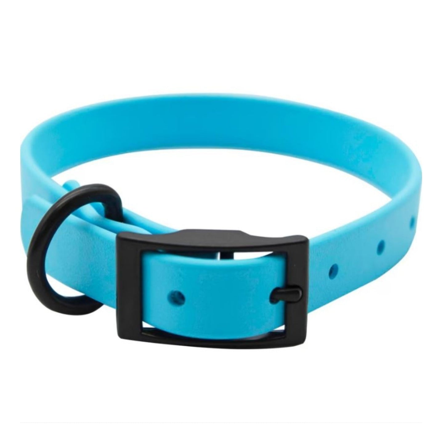 Omni Pet Zeta Biothane Dog Collar with Blk Hardware Light Blue 1 x 24in.