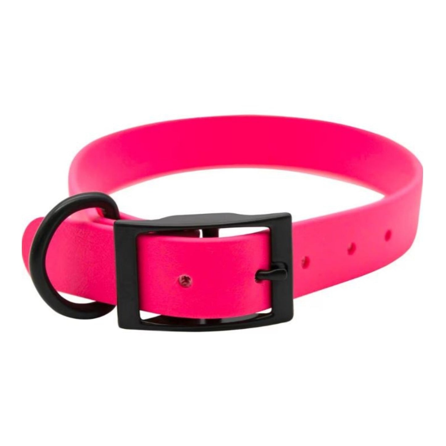 Omni Pet Zeta Biothane Dog Collar with Blk Hardware Ruby  1 x 22in.