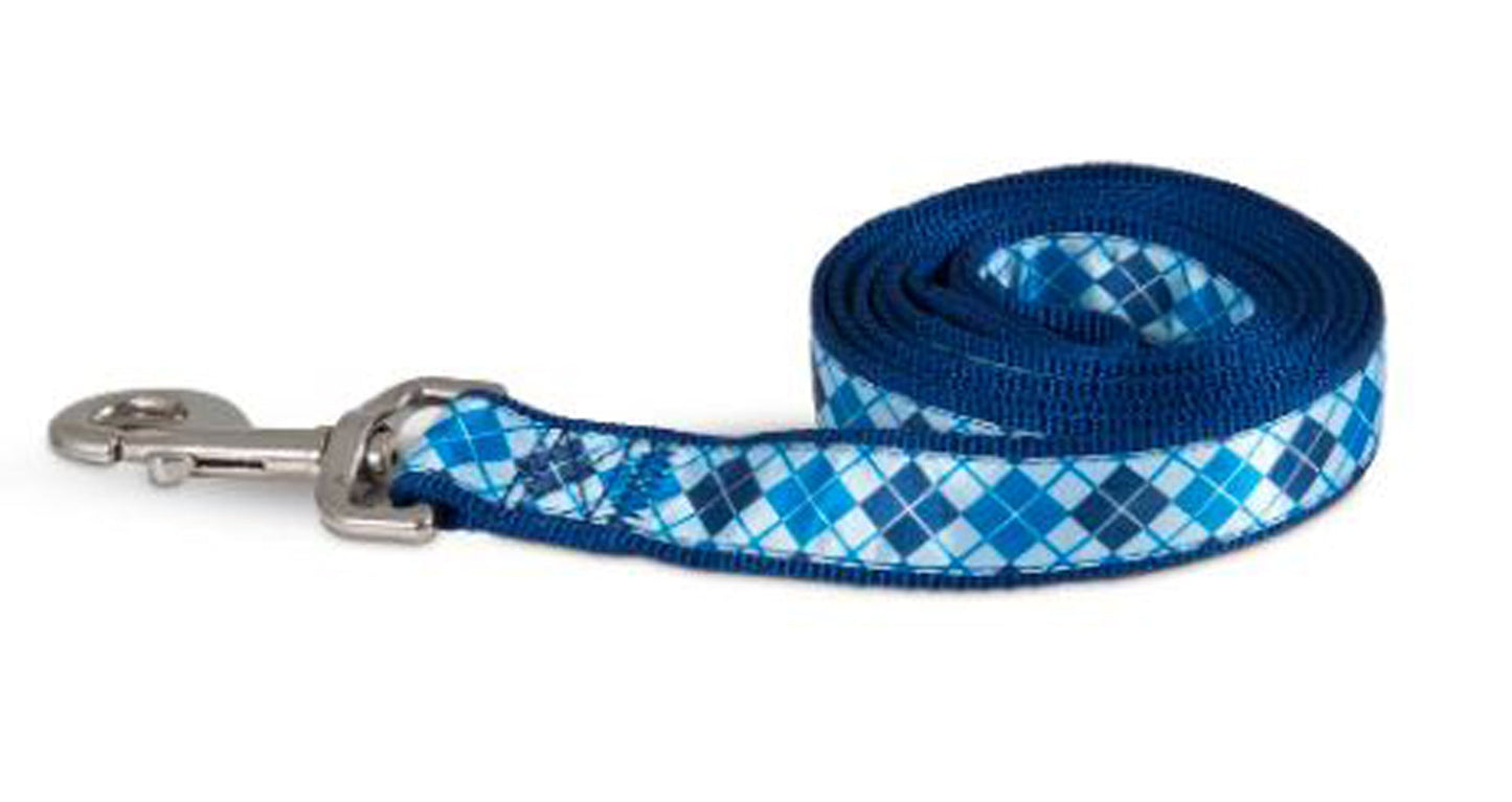 Aspen Ribbon Overlay Dog Leash Blue 1ea/1 In X 6 ft, One Size