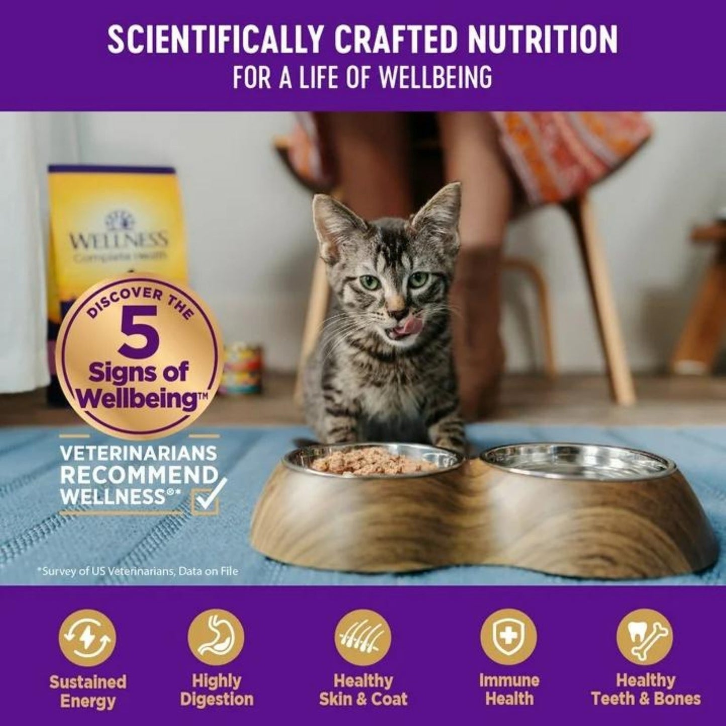 Wellness Cat Complete Health Gravies Turkey Dinner 3oz. (Case of 12)