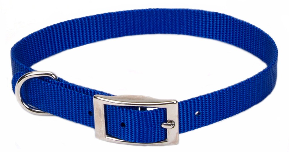 Coastal Single-Ply Nylon Collar Blue 3/8X10In