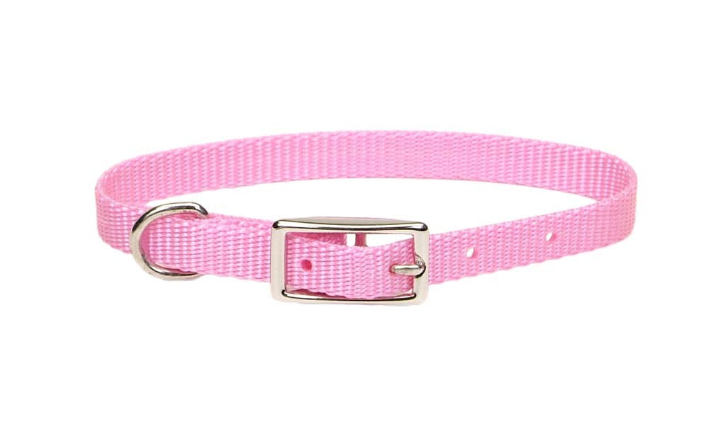 Coastal Single-Ply Nylon Collar Neon Pink 3/8X10In