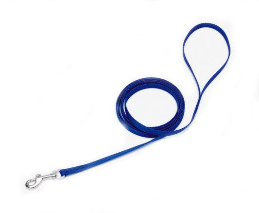 Coastal Single-Ply Nylon Dog Leash Blue 1ea/3/8 In X 4 ft