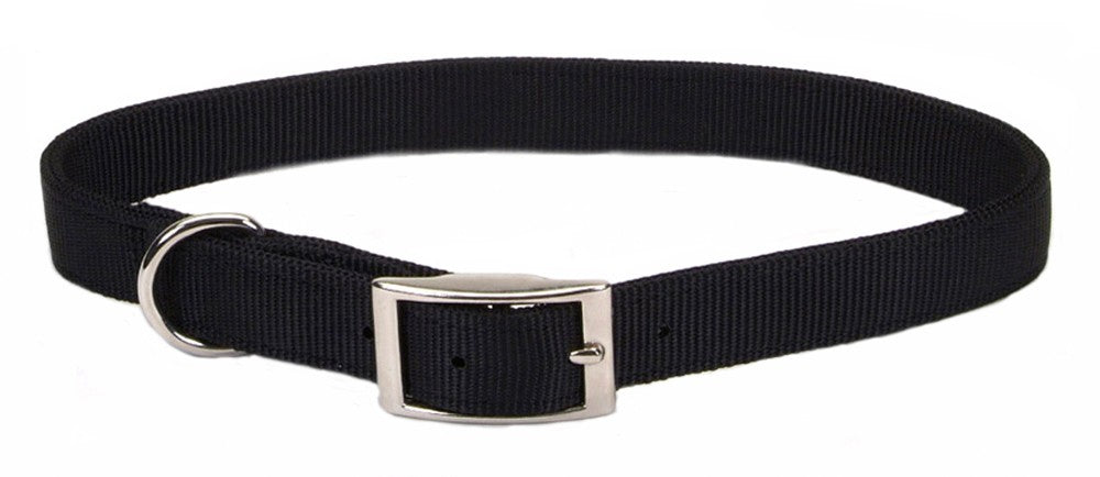 Coastal Single-Ply Nylon Dog Collar Black 1ea/5/8 In X 12 in