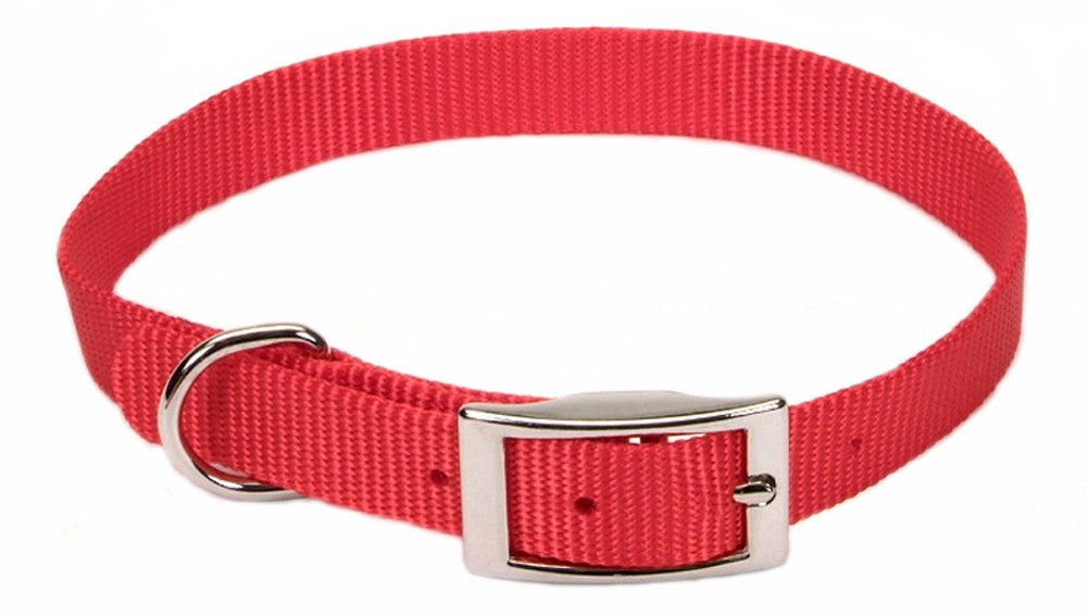 Coastal Single-Ply Nylon Dog Collar Red 1ea/5/8 In X 12 in