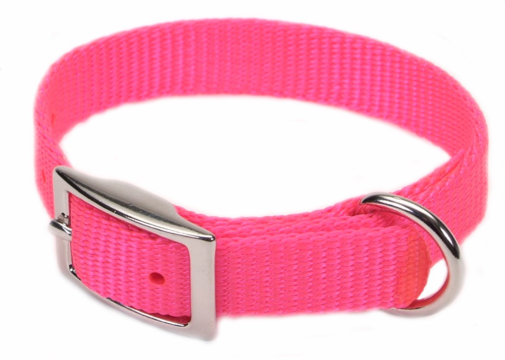 Coastal Single-Ply Nylon Collar Neon Pink 5/8X12In