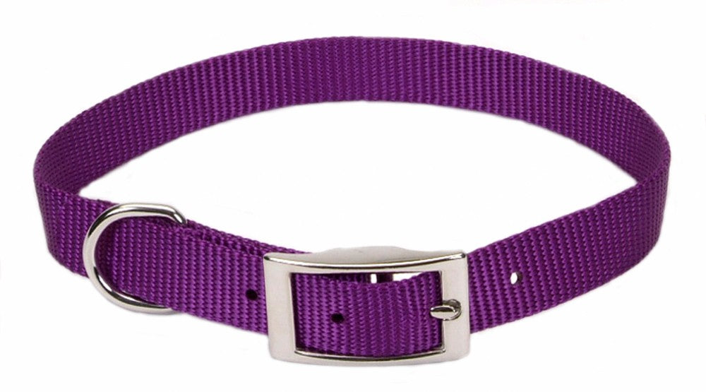 Coastal Single-Ply Nylon Dog Collar Purple 1ea/5/8 In X 16 in