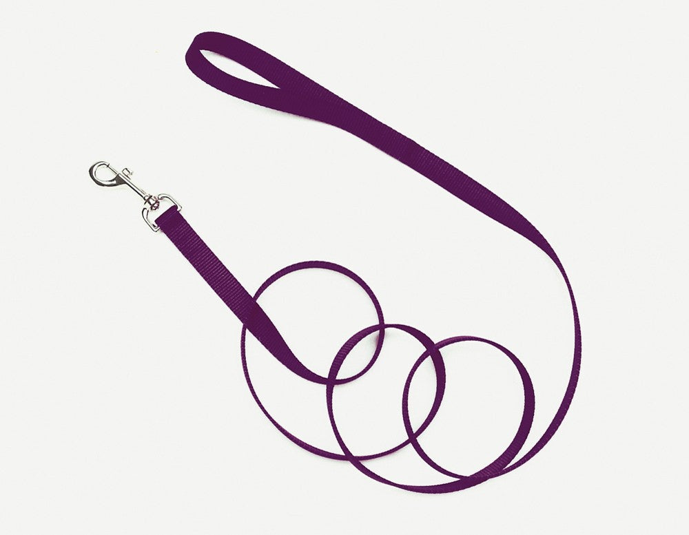 Coastal Single-Ply Nylon Dog Leash Purple 1ea/5/8 In X 4 ft