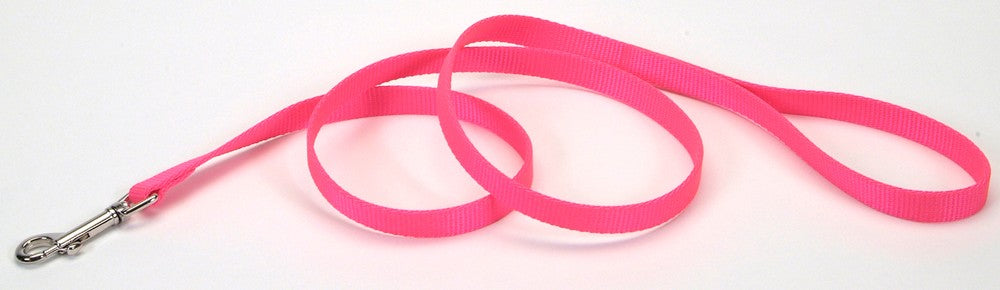 Coastal Single-Ply Nylon Dog Leash Neon Pink 1ea/5/8 In X 6 ft