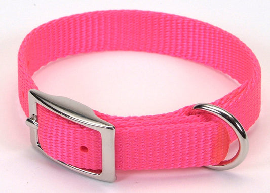 Coastal Single-Ply Nylon Collar Neon Pink 3/4X16In