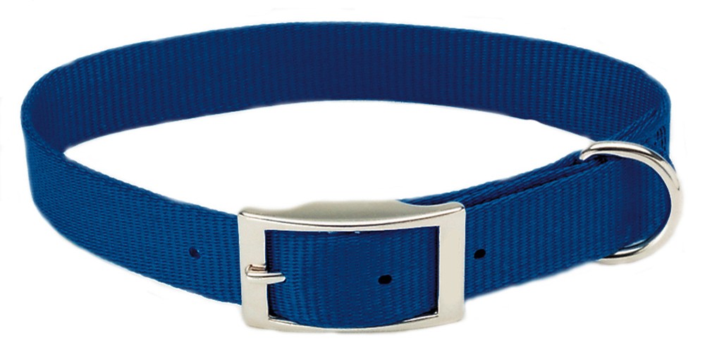 Coastal Single-Ply Nylon Dog Collar Blue 1ea/3/4 In X 18 in