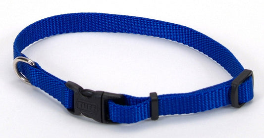 Coastal Adjustable Nylon Dog Collar with Plastic Buckle Blue 1ea/3/8 In X 8-12 in