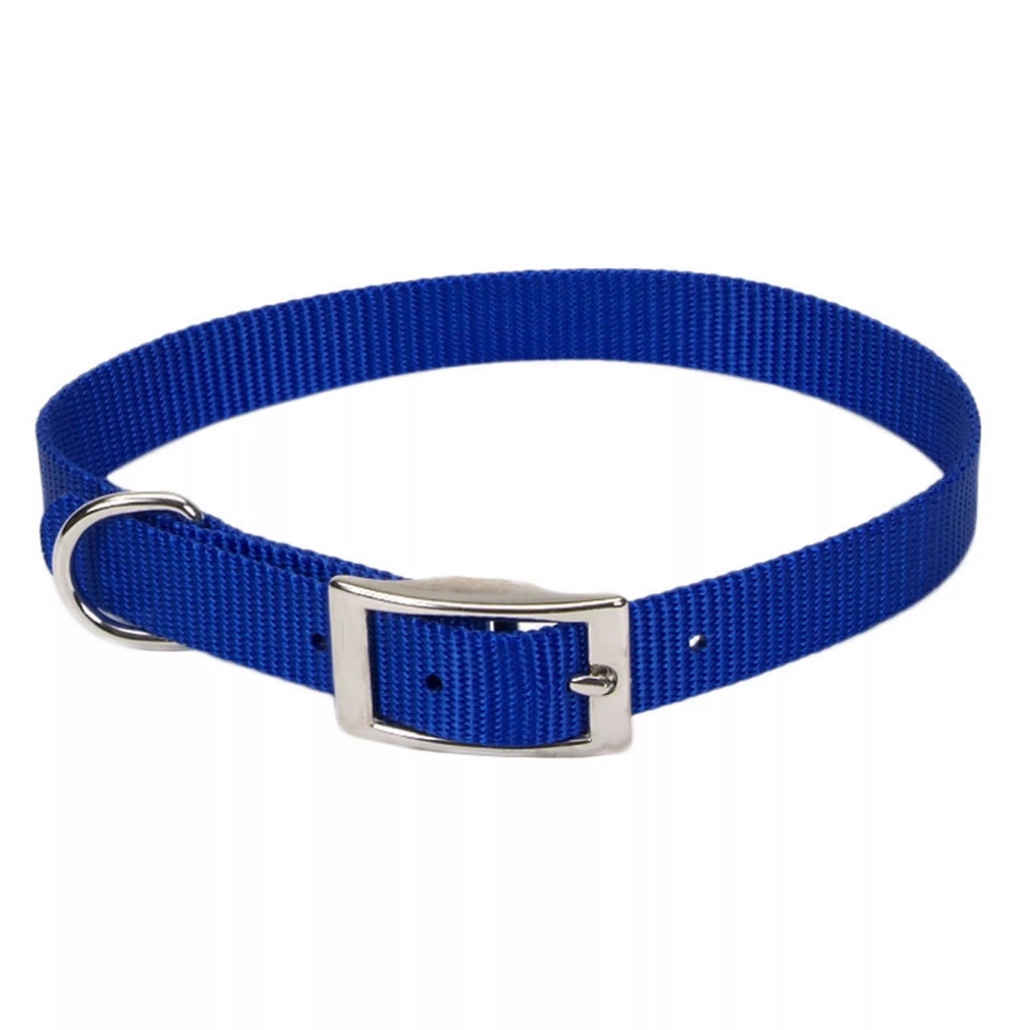 Coastal Single-Ply Nylon Collar Blue 1X22In