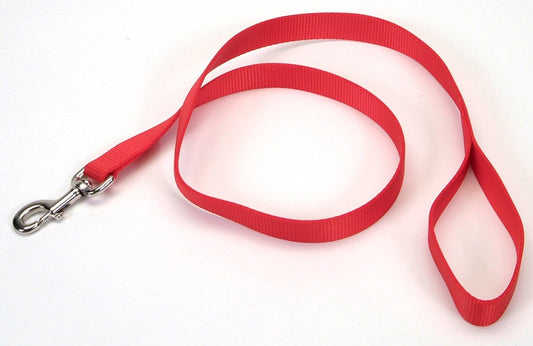 Coastal Single-Ply Nylon Dog Leash Red 1ea/1 In X 4 ft