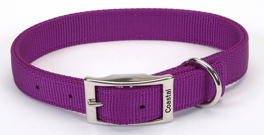 Coastal Double-Ply Nylon Dog Collar Purple 1ea/1 In X 18 in