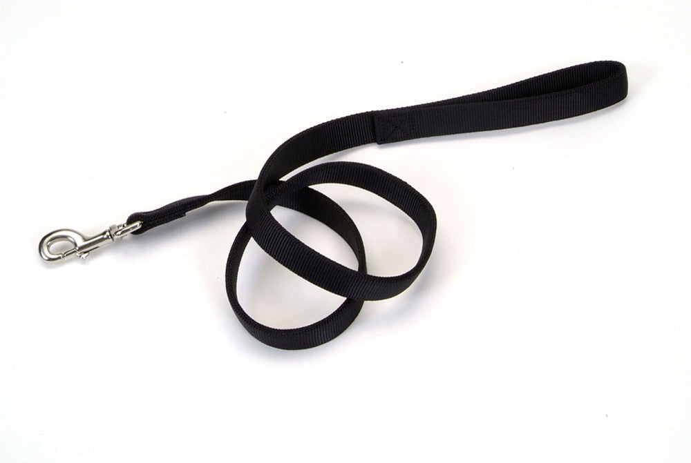 Coastal Double-Ply Nylon Dog Leash Black 1ea/1 In X 4 ft