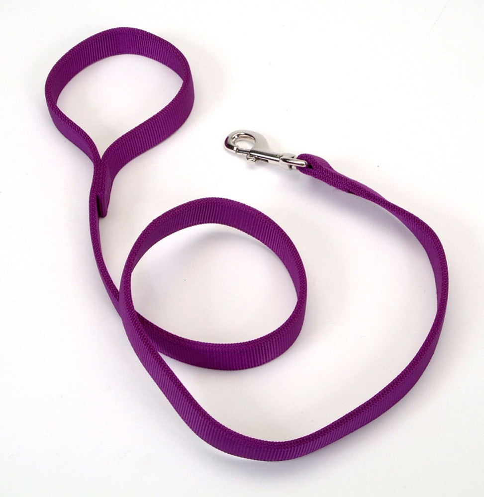 Coastal Double-Ply Nylon Dog Leash Purple 1ea/1 In X 6 ft