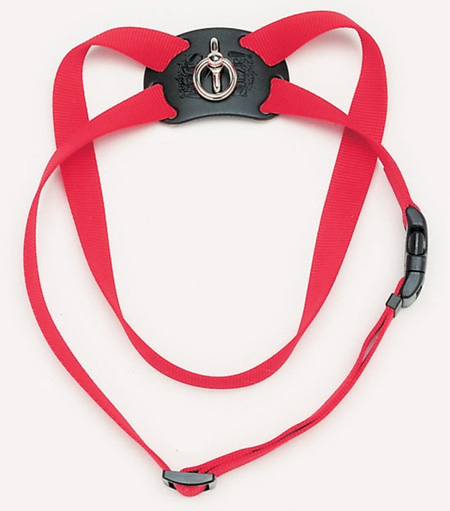 Coastal Size Right Adjustable Nylon Harness Red 1X26-38In