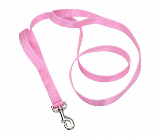 Coastal Single-Ply Nylon Leash Bright Pink1X4Ft