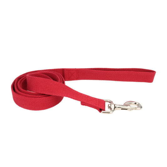 Earth Soy Dog Leash Cranberry 1ea/5/8 In X 6 ft