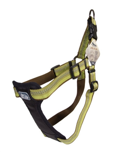 Coastal K9 Explorer 1 Inch Padded Harness Fern Green (26-38 Inch)