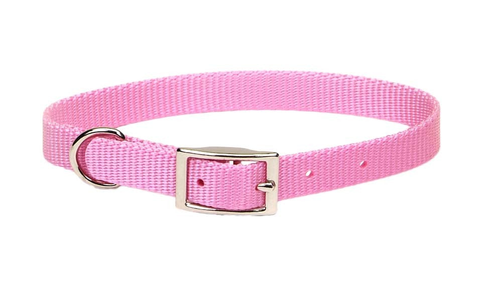 Coastal Single-Ply Nylon Dog Collar Pink Bright 1ea/5/8 In X 12 in