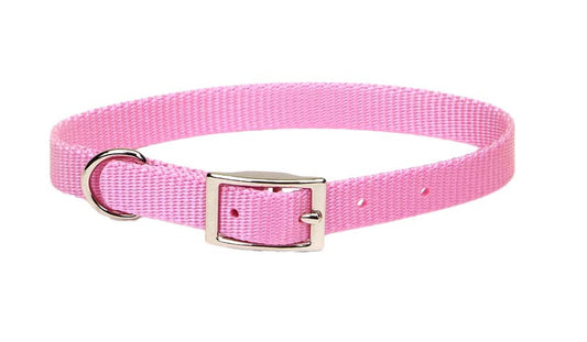 Coastal Single-Ply Nylon Dog Collar Pink Bright 1ea/5/8 In X 16 in